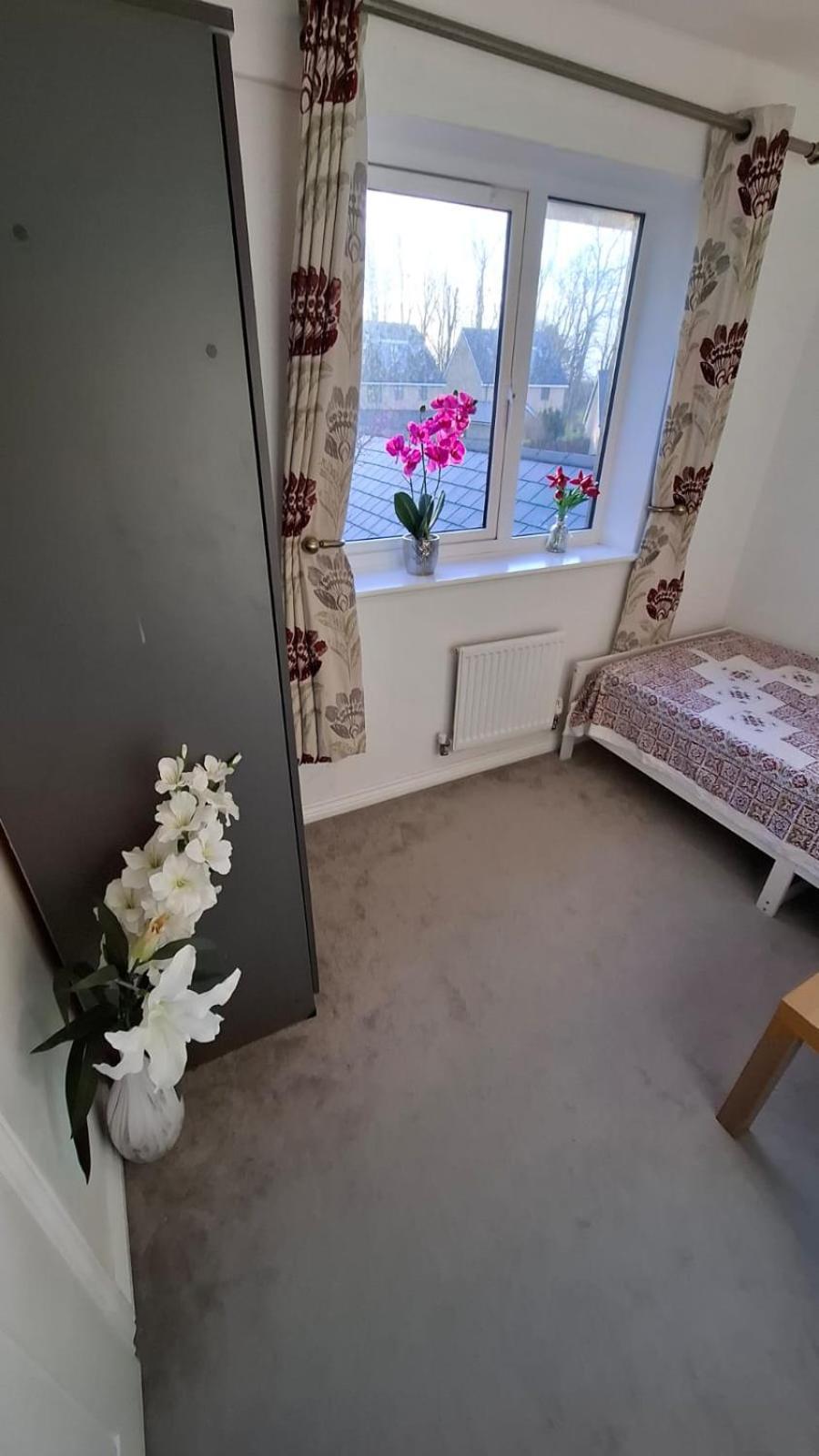 Pine Tree House Bed and Breakfast Mile End Eksteriør billede